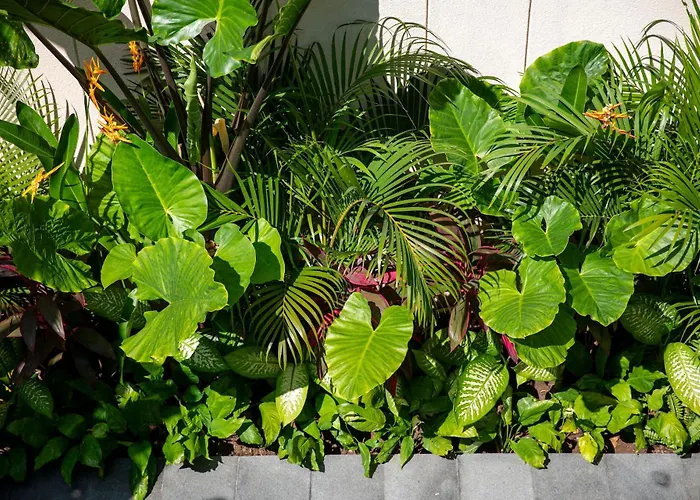 Bloom Villa Uluwatu (Bali)
